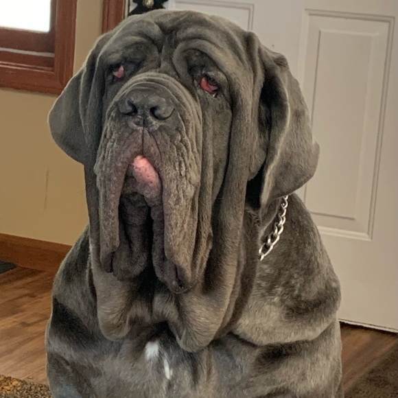 Meet your Posher, Anthony - Picture 1 of 5